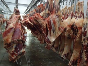 Carne é um dos produtos de Rondônia com mais demanda no exterior