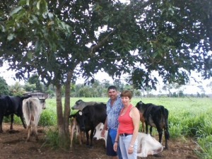 Com o auxílio da Emater, Jair Carvalho conseguiu aumentar a renda mensal com a criação de gado e hortaliças