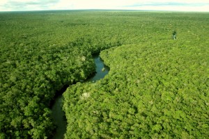 Amazonia_Fonte-AEB