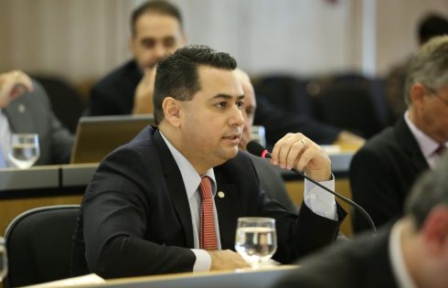 Conselheiro federal Breno de Paula se manifestou durante Conselho Pleno.
