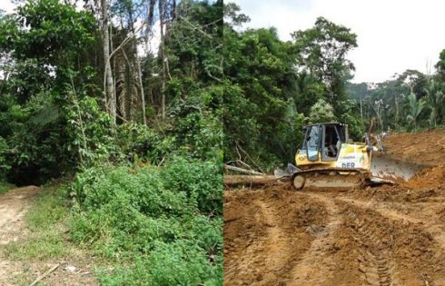A antiga trilha na floresta e, à direita, as obras de abertura da estrada. Fonte: News Rondônia