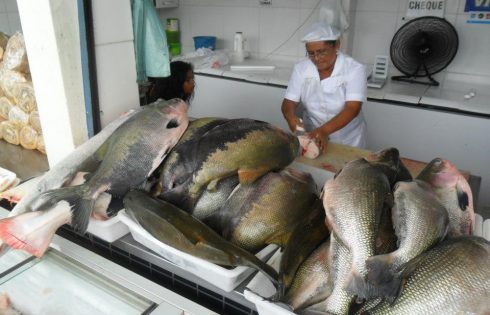 Rondônia produz cerca de 90 mil toneladas de pescado e apoia os produtores com iniciativas para facilitar a comercialização
