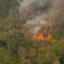 Fire Moratorium – Deforestation and Fire Monitoring in the Amazon in August, 2020Moratória do Fogo – Monitoramento de Desmatamento e Queimadas na Amazônia em Agosto de 2020