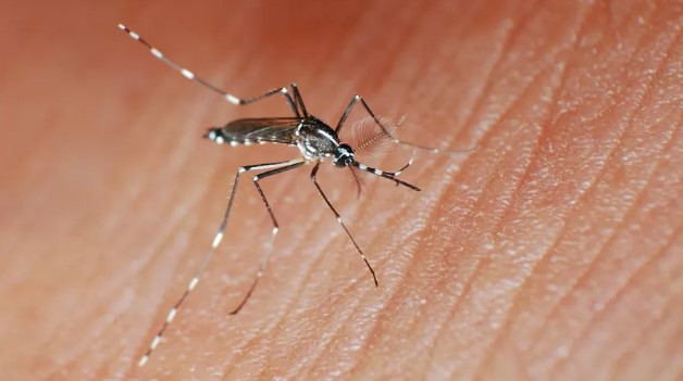 Rondônia recebe R＄ 2,7 milhões para a assistência farmacêutica como reforço no combate à dengue